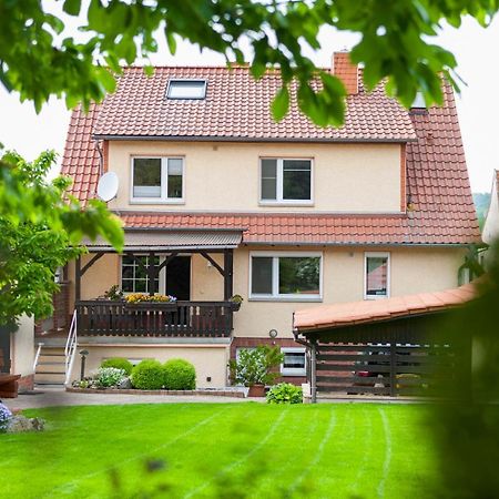 Ferienhaus Og1 "Westerwald Blick" Martinfeld Экстерьер фото