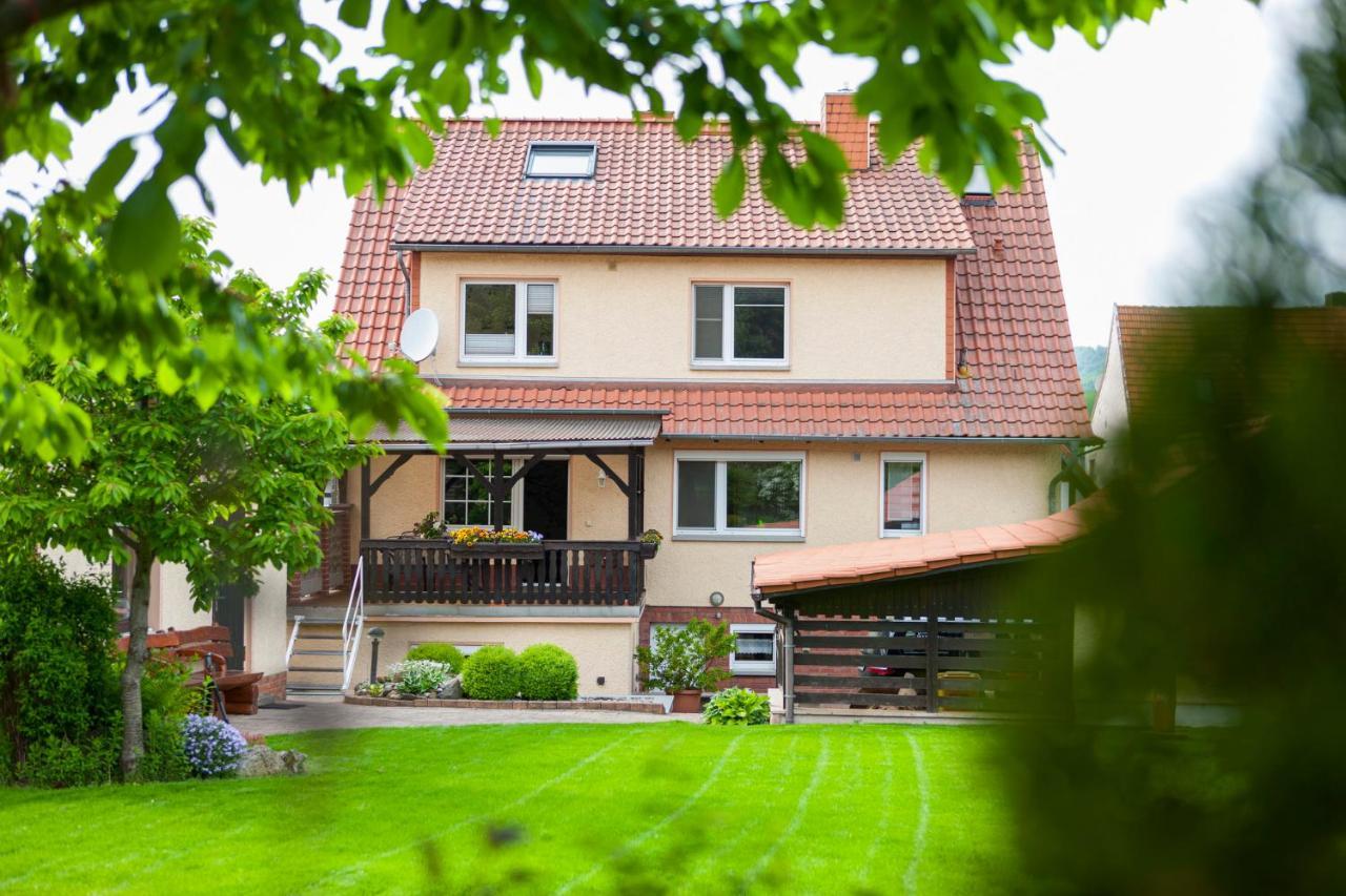 Ferienhaus Og1 "Westerwald Blick" Martinfeld Экстерьер фото