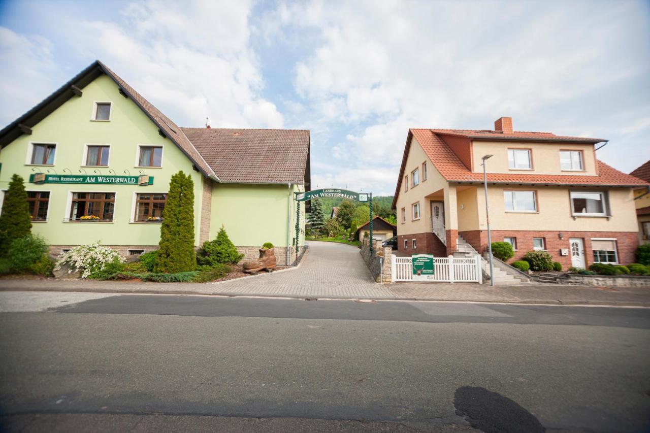 Ferienhaus Og1 "Westerwald Blick" Martinfeld Экстерьер фото