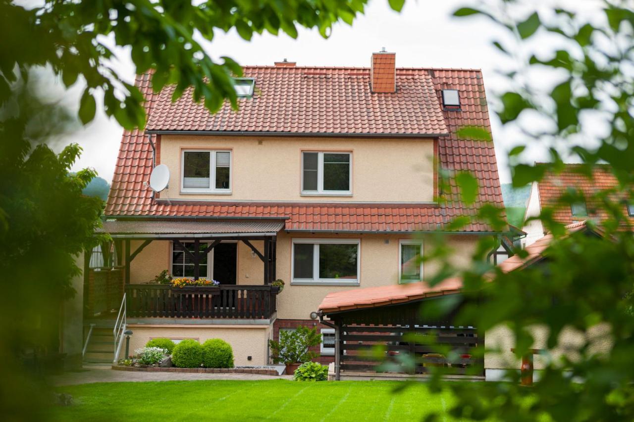 Ferienhaus Og1 "Westerwald Blick" Martinfeld Экстерьер фото